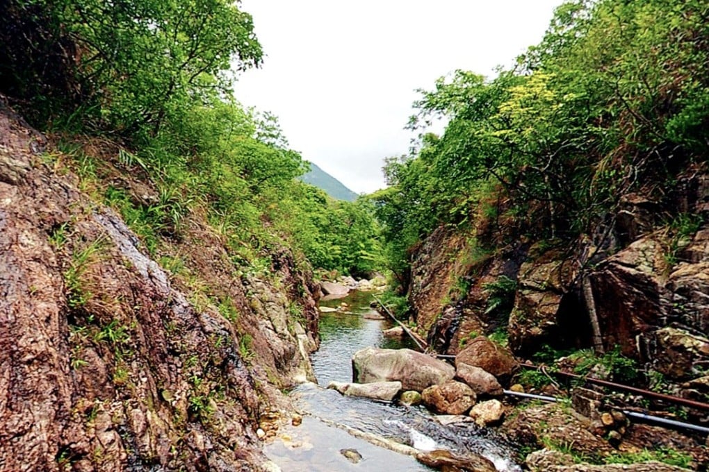 Tei Tong Tsai is home to several Buddhist monasteries including Po Lam and Fa Hong. Photo: Google