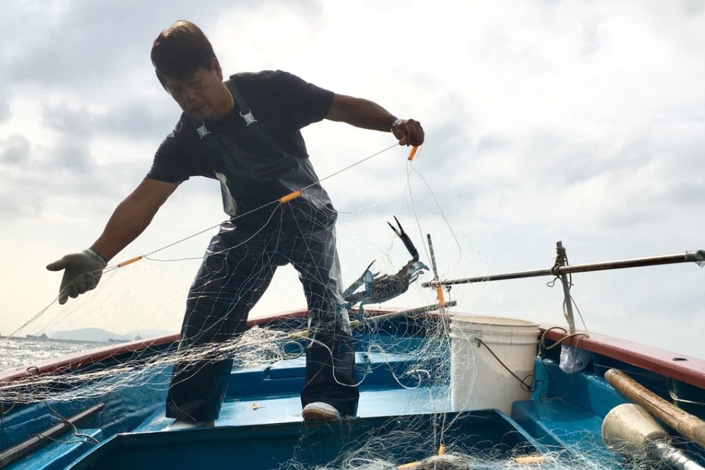 Hong Kong fisherman Lai Shui-sing pulling in his net as he sails the waters around Peng Chau and Lantau Island. Photo: Kylie Knott