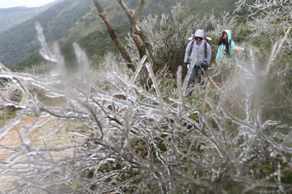 Visitors were drawn to Tai Mo Shan, Hong Kong’s highest point, to view frost and icicles after the Hong Kong Observatory issued a cold weather warning in January 2016. Photo: Felix Wong