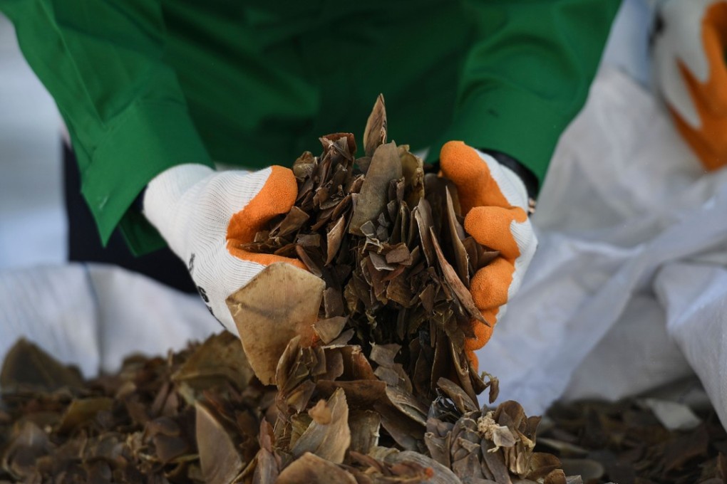 The seized scales were worth an estimated US$9 million. Photo: AFP