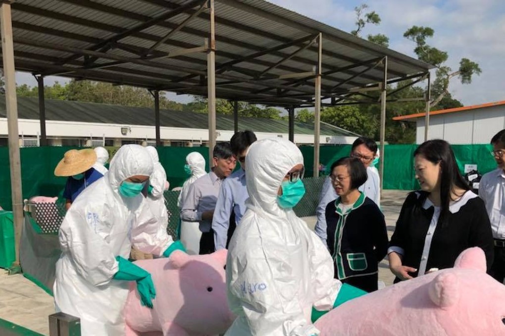 Agricultural officials conducting a swine fever culling drill using stuffed pigs, under the watchful eye of Secretary for Food and Health Sophia Chan Siu-chee. Photo: Facebook