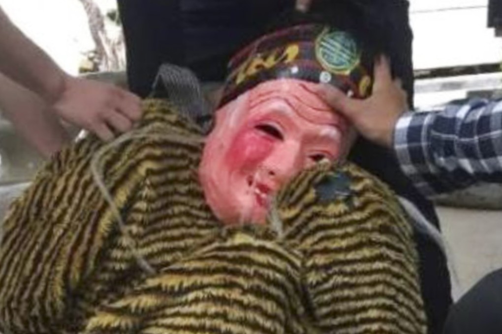 A 20-year-old man who wore a tiger suit and face mask in public was arrested in southern China and subsequently linked to a string of unsolved crimes. Photo: Thepaper.cn