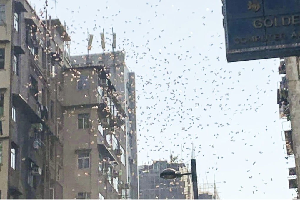 Money was in the air on Saturday. Photo: Facebook