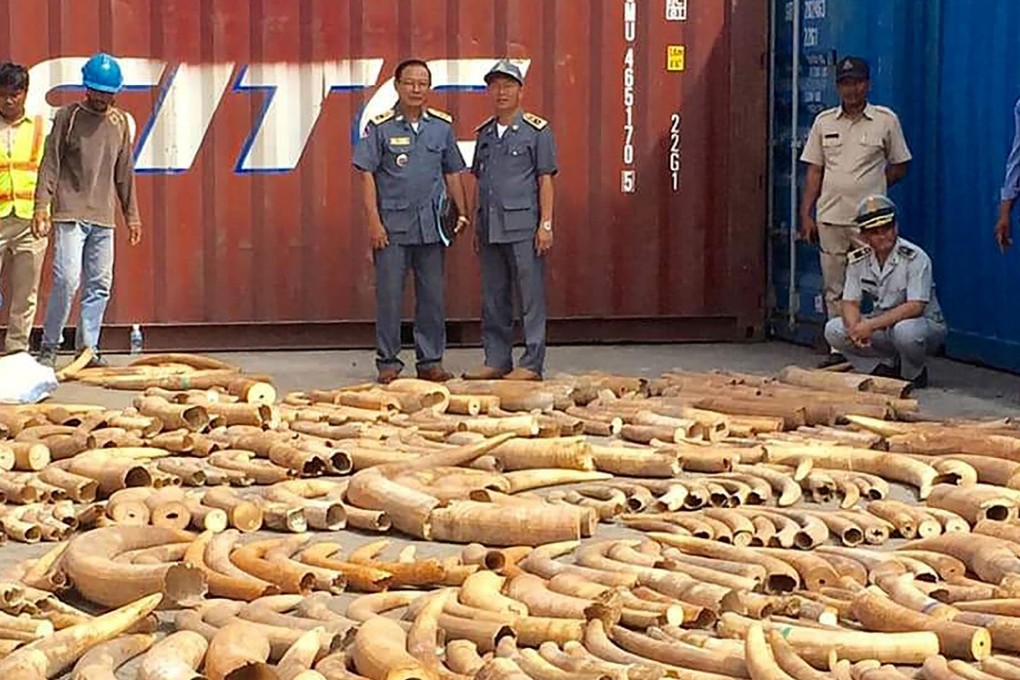 Cambodian authorities say they have seized more than three tonnes of rare African ivory hidden inside an abandoned shipping container. Photo: AFP