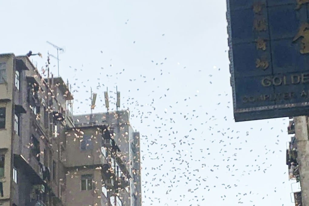 Money falls from the sky at Fuk Wa Street, Sham Shui Po on Saturday afternoon. Photo: Facebook