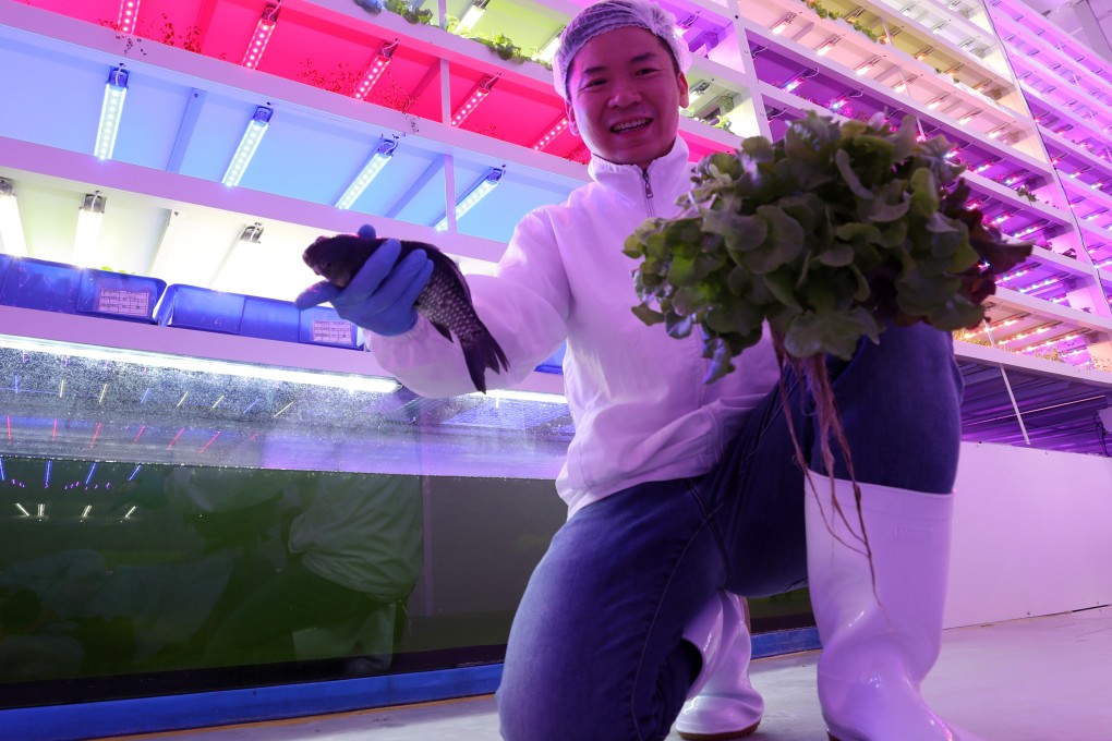 The vertical farm’s co-founder, Gordon Tam Chi-ho. Photo: Edward Wong