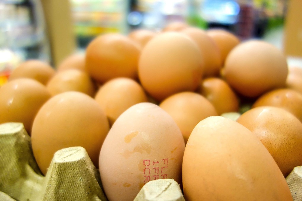 The new process can determine the sex of a chick just nine days after an egg has been fertilised. Photo: AFP