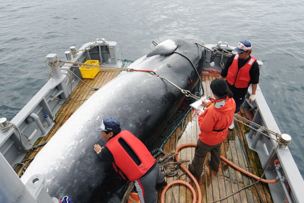 International whaling commission 2018 clearance