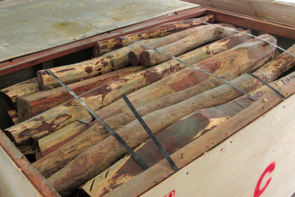 Customs displays wood seized from one raid this year. Photo: Handout
