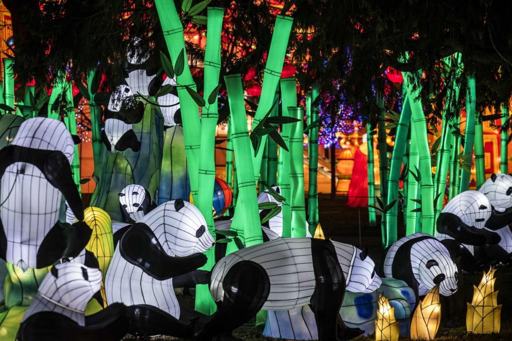 Giant lanterns depicting pandas at the Gaillac lantern festival. Photo: AFP