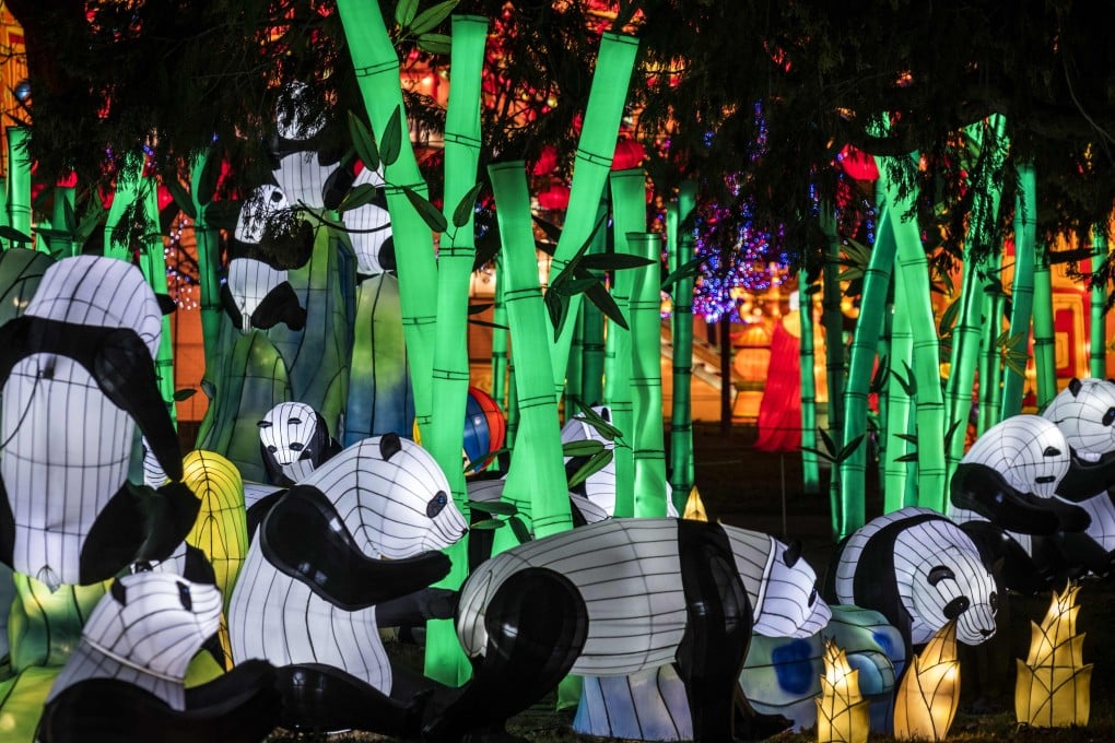 Giant lanterns depicting pandas at the Gaillac lantern festival. Photo: AFP