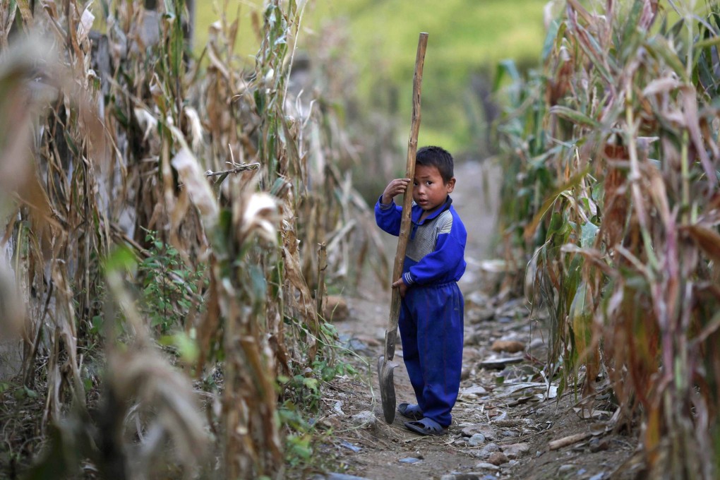 A North Korean boy holds a spade in a corn field. The US is set to review sanctions and a travel ban on the impoverished nation amid frustrations from aid organisations. Photo: Reuters