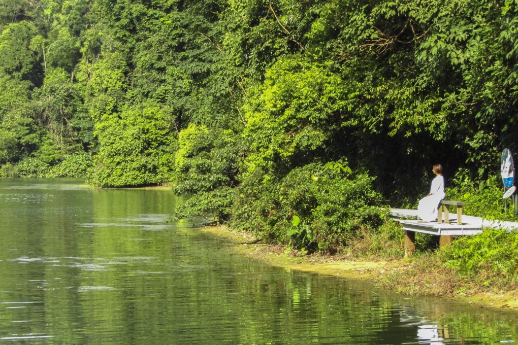 “J. Sid”, a Post contributor who wishes to remain anonymous, looking out along a reservoir in Singapore. She is currently undergoing treatment for pancreatic cancer. Photo: Agnes Cheah