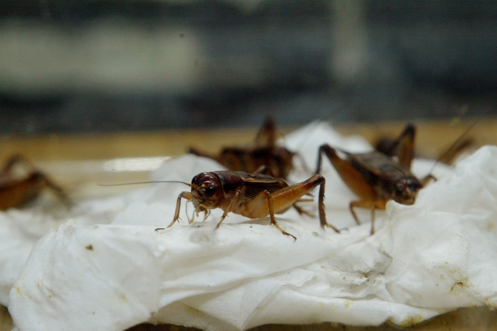 In 2016, workers at the embassy suffered ‘brain injuries’ after hearing mysterious sounds. Photo: K.Y. Cheng