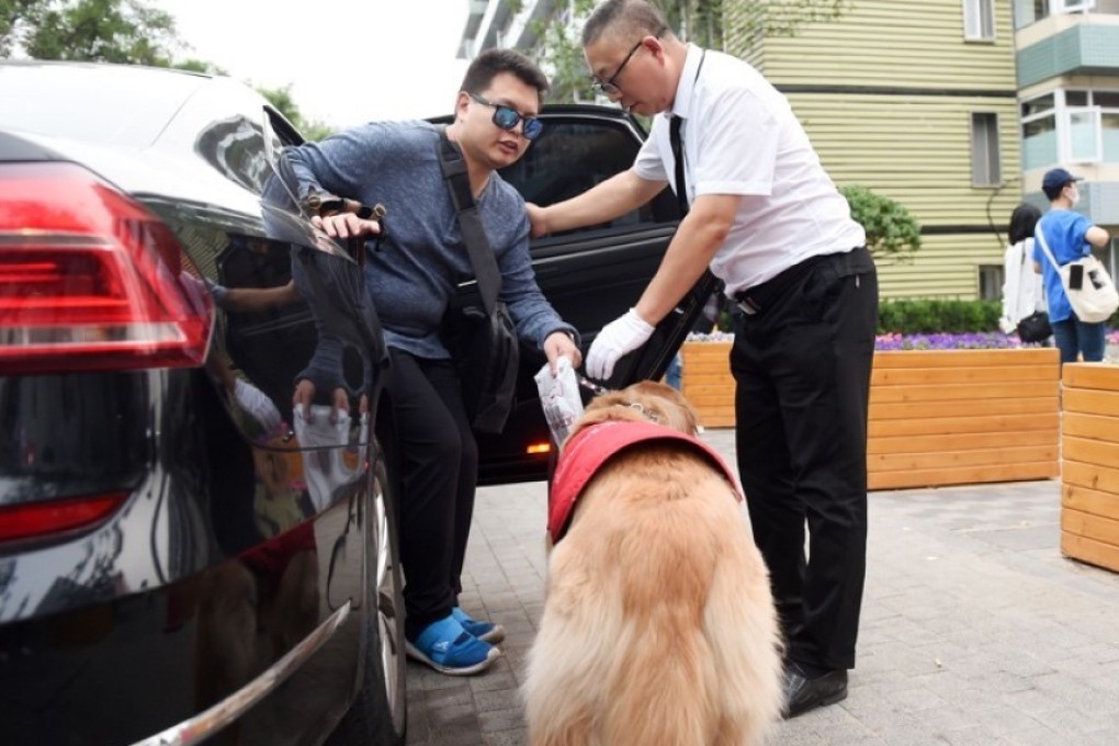 If Hong Kong wants to become a more pet-friendly city, starting with guide dogs might be a good move. Photo: Handout