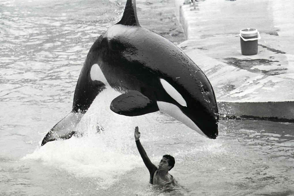 Hoi Wai performs at Ocean Park in 1989. Picture: SCMP