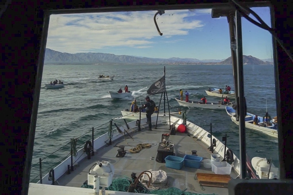 A screen grab released by the Sea Shepherd Conservation Society of the vessel Farley Mowat surrounded by fishing boats off Mexico’s Gulf of California. Photo: AP