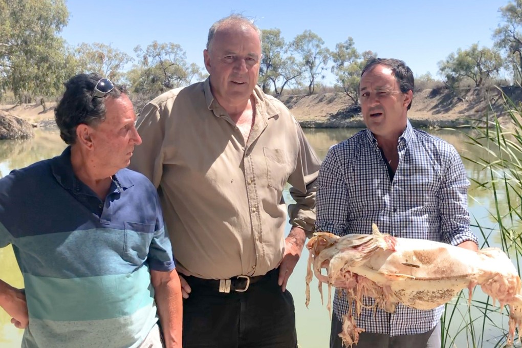 New South Wales member of parliament Jeremy Buckingham holds a dead native Murray cod, which was killed during a massive fish kill in Menindee on the Darling River. Photo: AFP