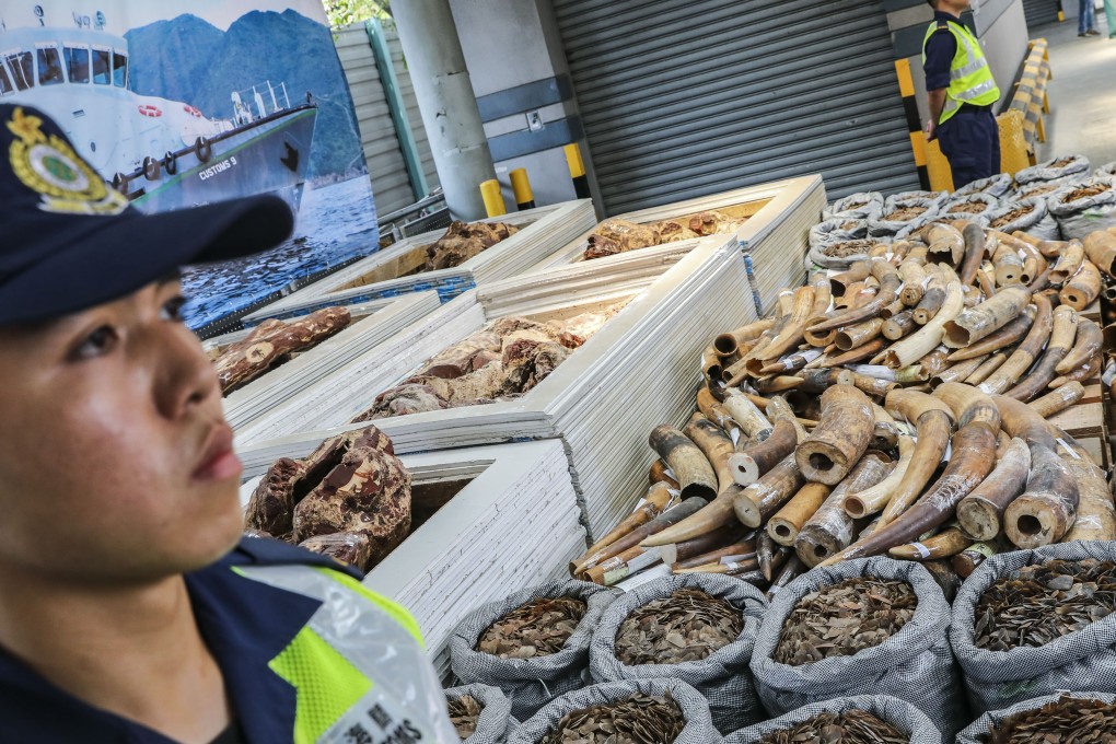Endangered animal parts seized by Hong Kong customs in Kwai Chung. Photo: K. Y. Cheng