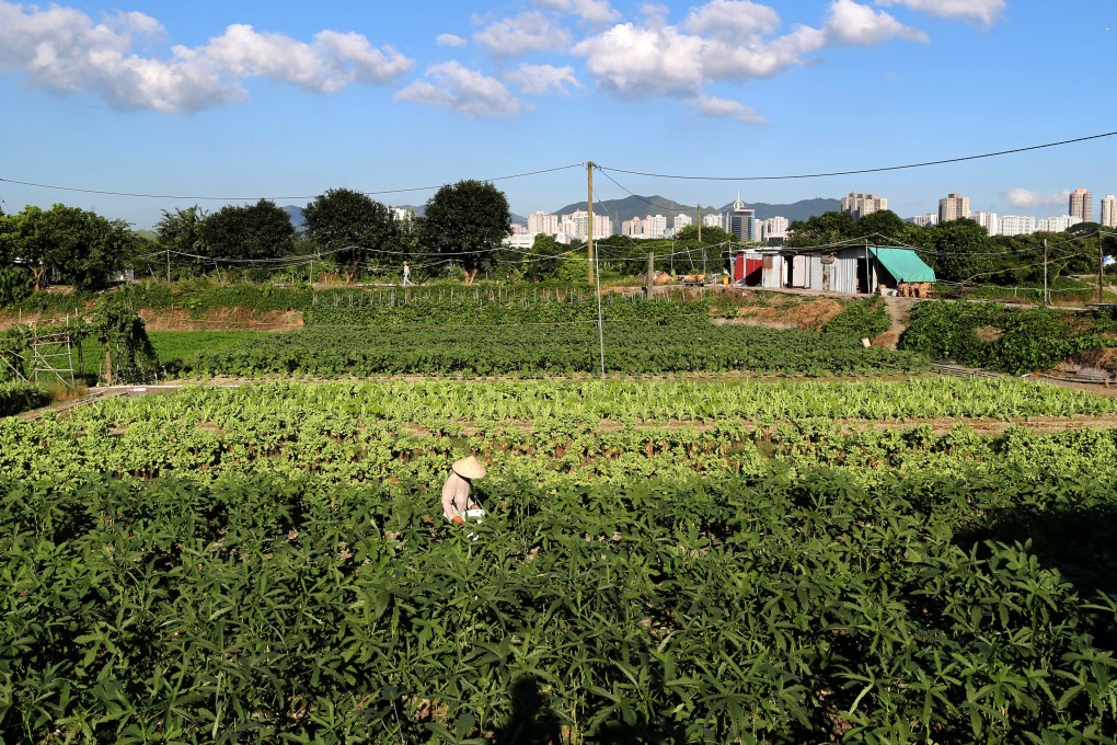 A farmer in Kwu Tung North. Photo: Dickson Lee
