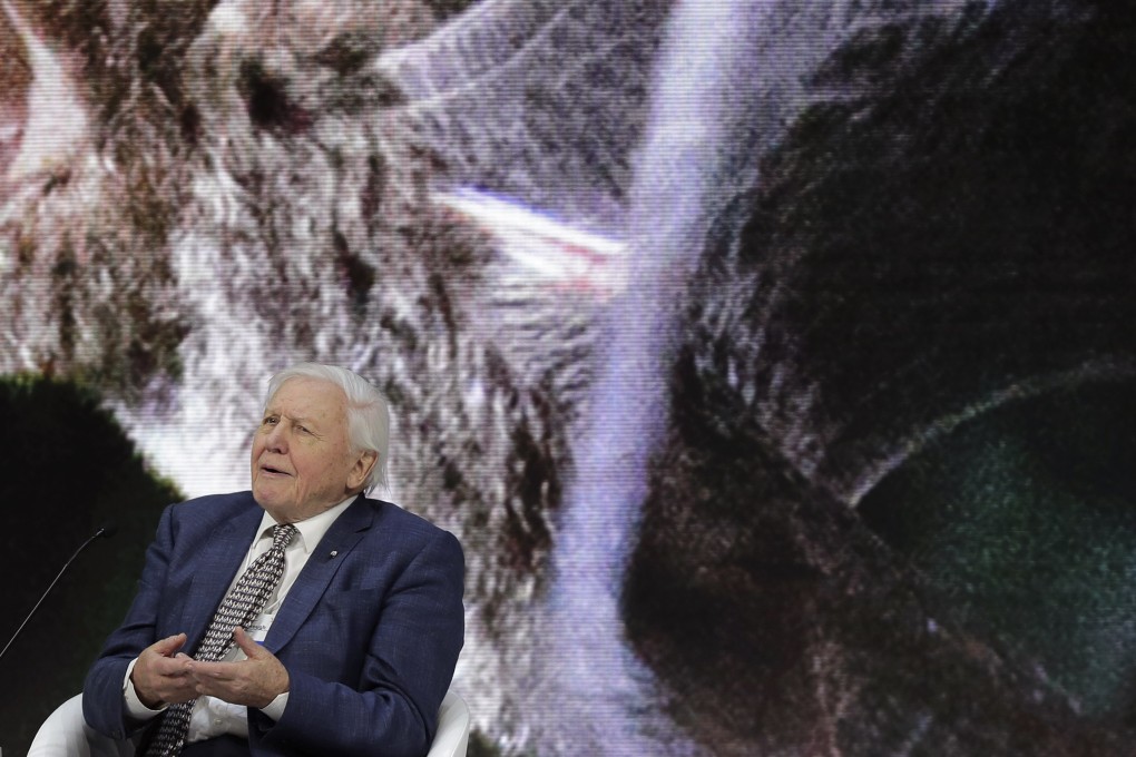 Sir David Attenborough, broadcaster and natural historian, speaks during a session at the annual meeting of the World Economic Forum in Davos. Photo: AP