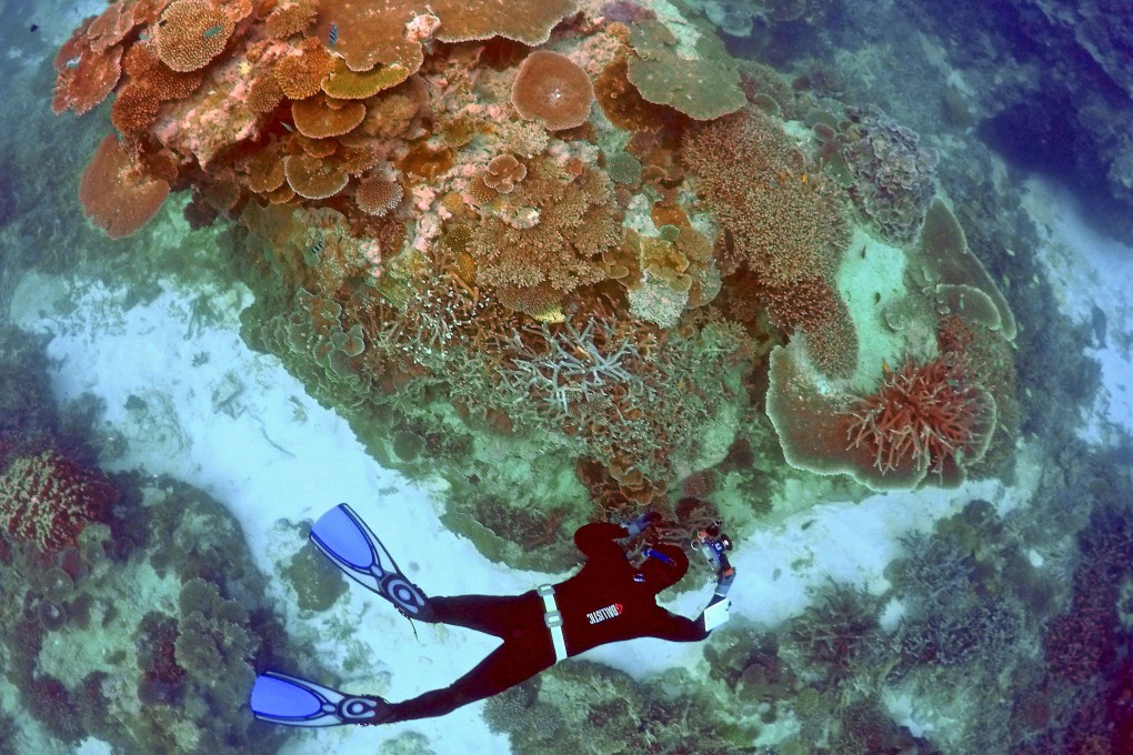 Australia’s Great Barrier Reef is one of the most popular ‘last-chance’ destinations after suffering from coral bleaching in recent years as a result of ocean acidification caused by increased amounts of carbon dioxide in the Earth’s atmosphere. Picture: Reuters