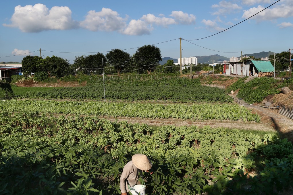 A farmer tends to his crops in Kwu Tung North. Photo: Dickson Lee