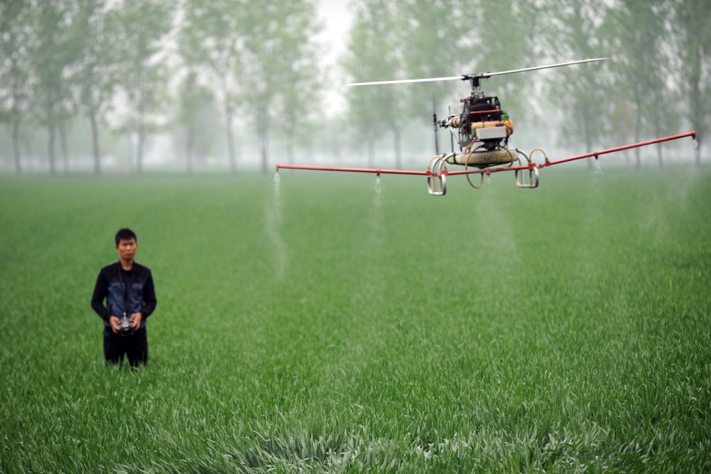 A man uses a drone to spray pesticides on a farm in Bozhou, central China's Anhui province. Photo: Agence France-Presse
