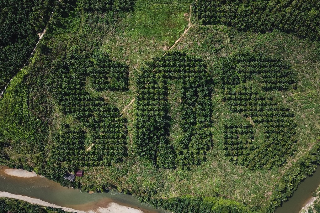 A giant SOS is carved into an oil palm plantation in Sumatra by Lithuanian artist Ernest Zacharevic to draw attention to deforestation. Photo: Ernest Zacharevic
