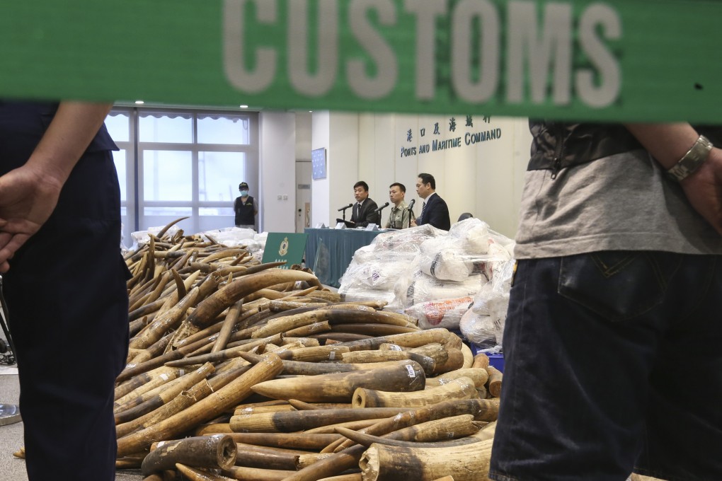 Hong Kong Customs display about 7,200 kilograms of ivory tusks seized from a container from Malaysia in 2017. Photo: Dickson Lee