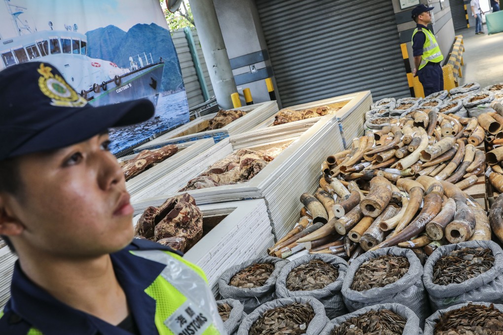 Two customs officer stand guard next to the record haul of ivory and pangolin scales. Photo: K.Y. Cheng