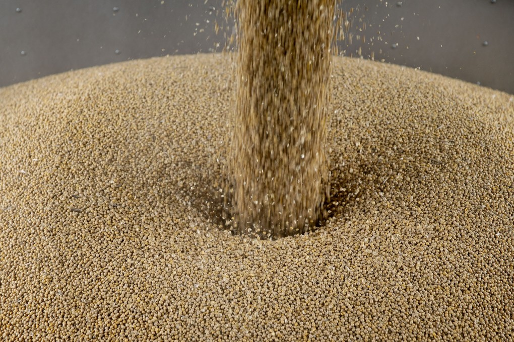 Soybeans have been a crucial element in the trade tensions between China and the US. Photo: Bloomberg