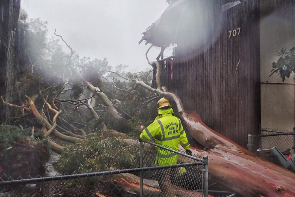 Santa Barbara County firefighters survey the scene of a large eucalyptus tree that fell into a two-story apartment complex on Bolton Walk in Goleta, Calif. Photo: Santa Barbara County Fire via AP