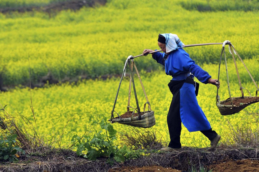 Beijing is hoping a revitalised farmers’ cooperative system will help lift millions of rural residents out of poverty. Photo: Reuters