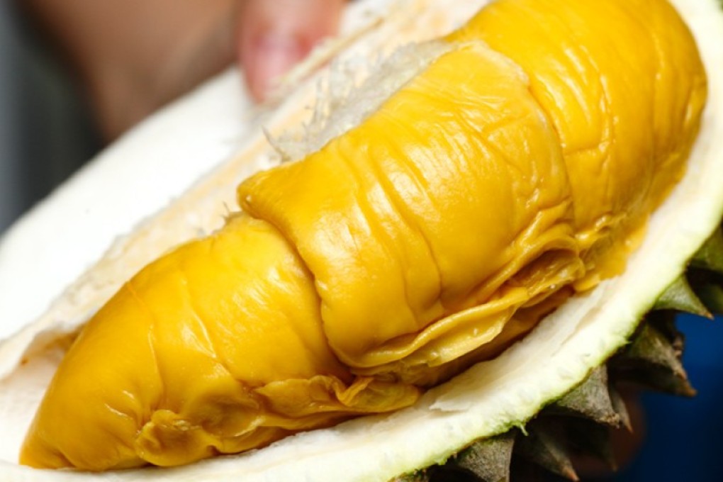 Crack open our list of top This Week In Asia stories, there’s certain to be something delicious inside. Photo: Vkeong.com