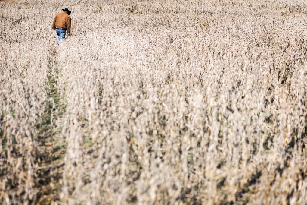John Wesley Boyd checks the condition of a soybean field for harvesting in Baskerville, Virginia. The United States had been the largest exporter of soybeans to China until last summer, when growers got caught in the crossfire of the trade dispute. Photo: Melina Mara/Washington Post