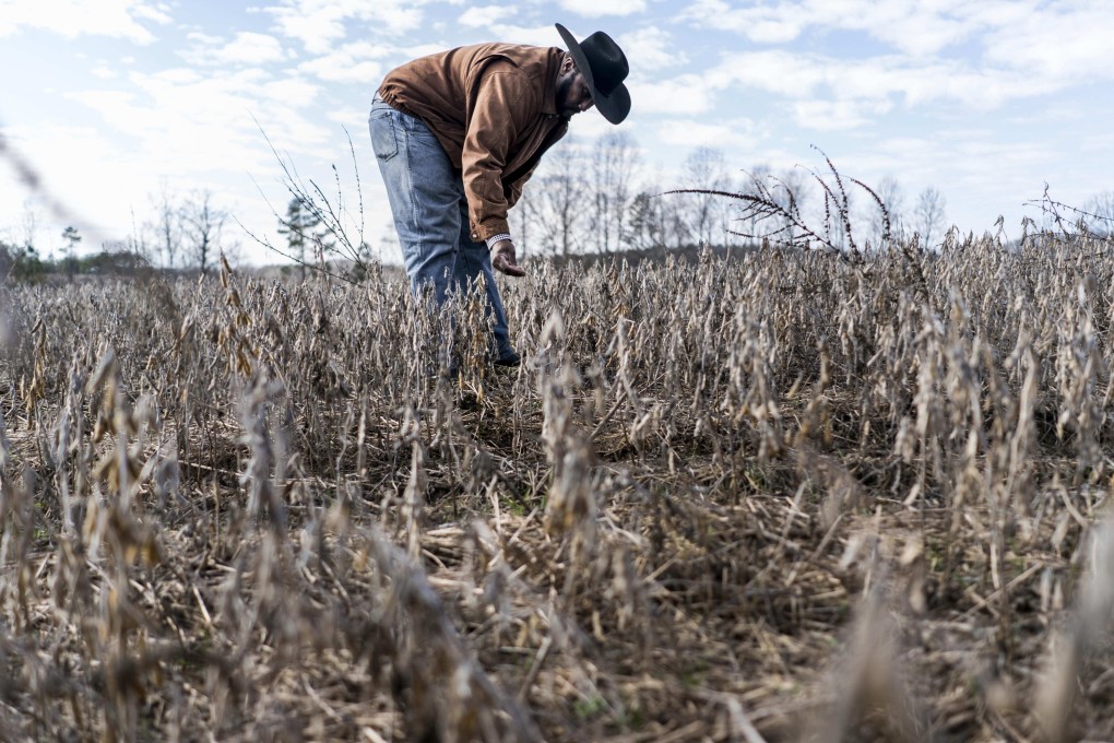 A farmer checks the condition of a soybean field in Baskerville, Virginia. Photo: Melina Mara/Washington Post