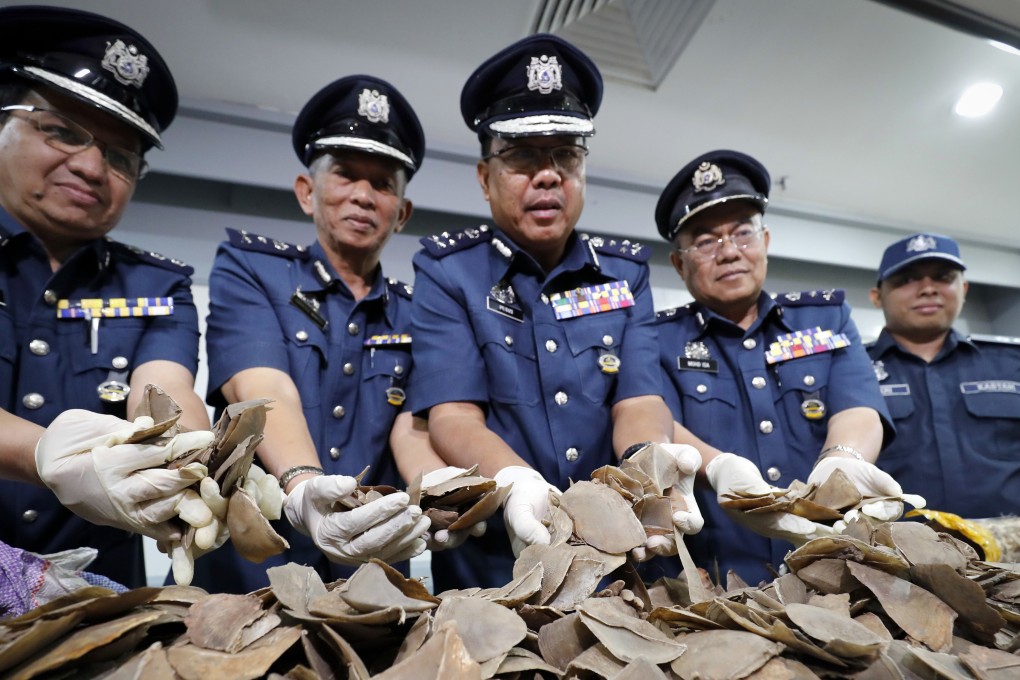 Seized pangolin scales are shown by Malaysian customs officials holding up seized pangolin scales. File photo: AP