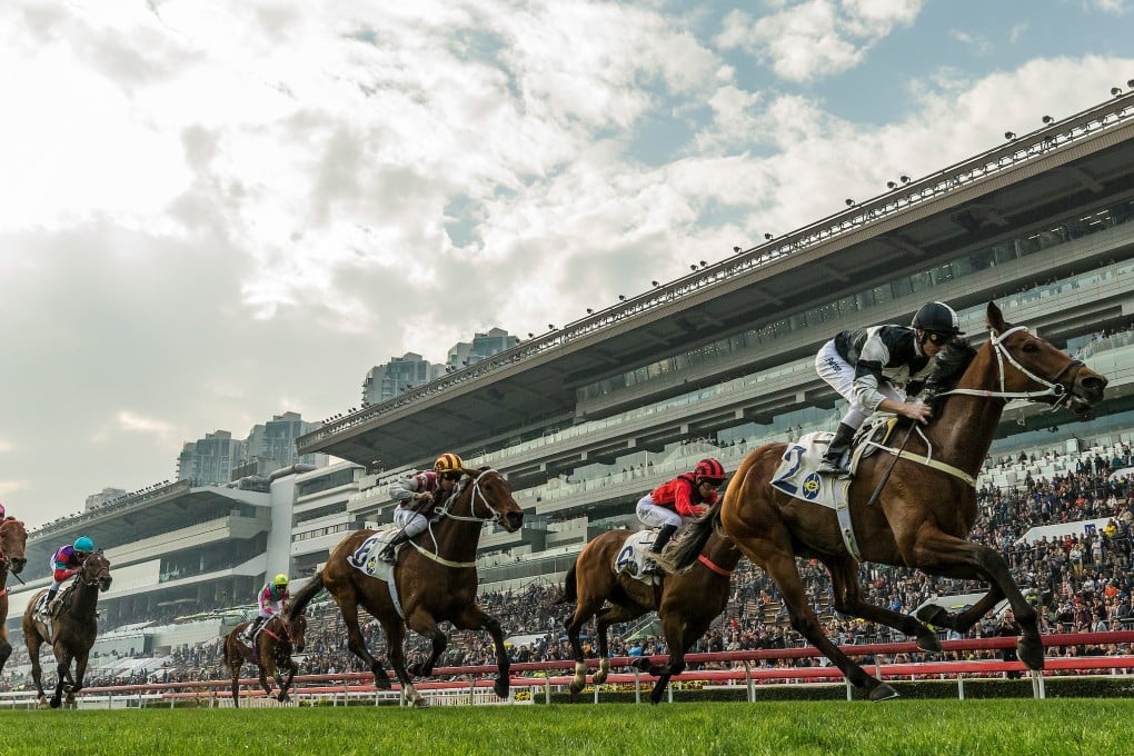 Exultant, pictured winning last month’s Centenary Vase at Sha Tin, is tipped to claim victory in Sunday’s Citi Hong Kong Gold Cup.
