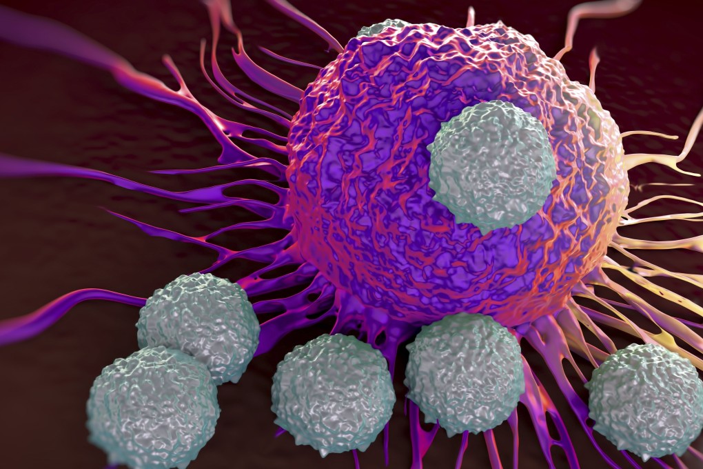 Infecting a cancer patient with the malaria parasite plasmodium appears to cause the immune system to battle tumour cells, according to Chinese scientists. Photo: Shutterstock