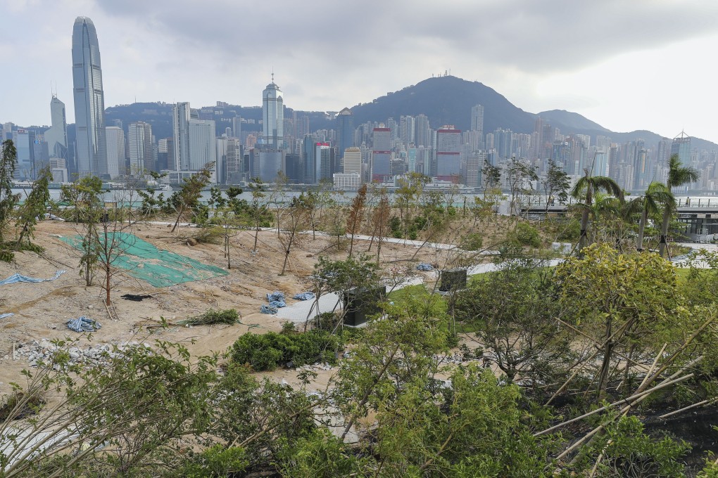 The chairman of the West Kowloon Cultural District Authority has floated the idea of cultivating vineyards in city’s new art district. Photo: Edward Wong
