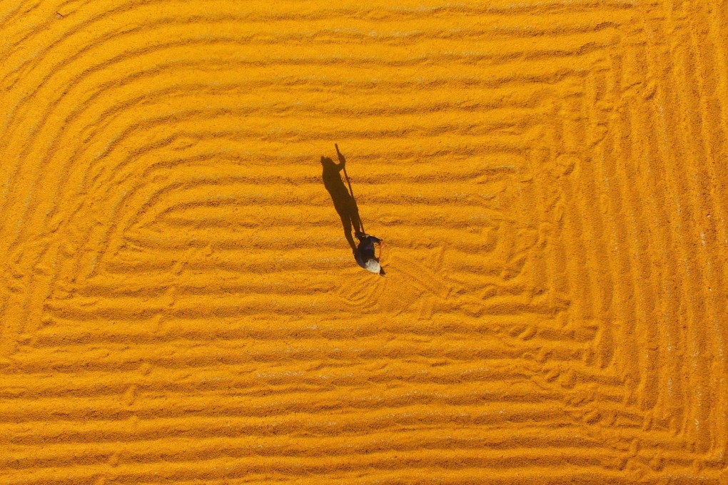 A farmer dries out soybeans in Liaocheng, in China’s eastern Shandong province, in October 2018. China has booked more than five million tonnes of US soybeans in December 2018, a fraction of the country’s typical purchases from the US. Photo: STR / AFP