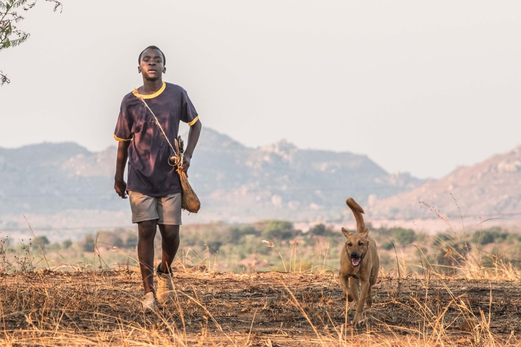Netflix's The Boy Who Harnessed the Wind stars newcomer Maxwell Simba.