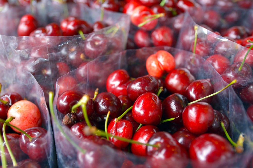 Cherries are an affordable luxury for China’s middle class amid an economic downturn. Photo: Handout
