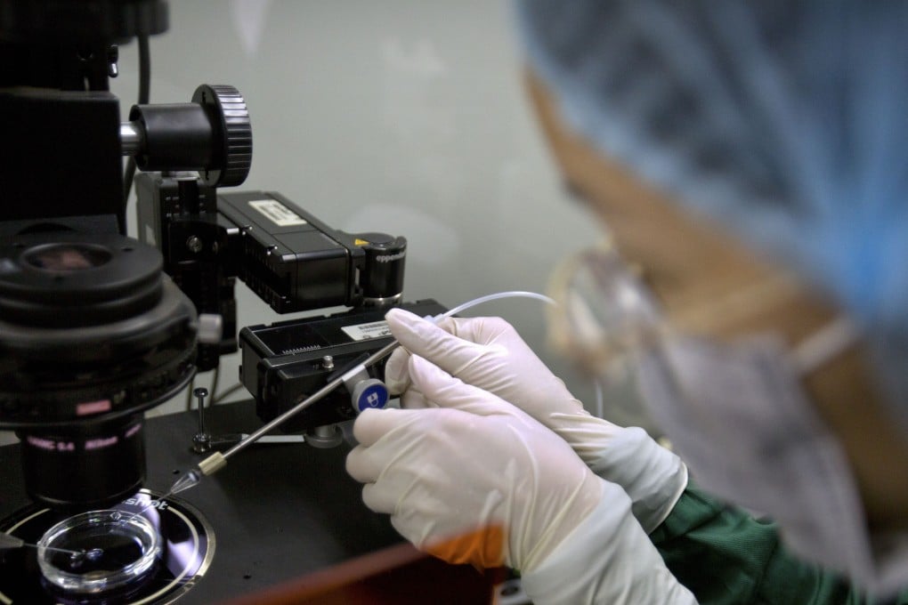 A sperm injection microscope is used in preparation for injecting embryos in Shenzhen in southern China. Photo: AP