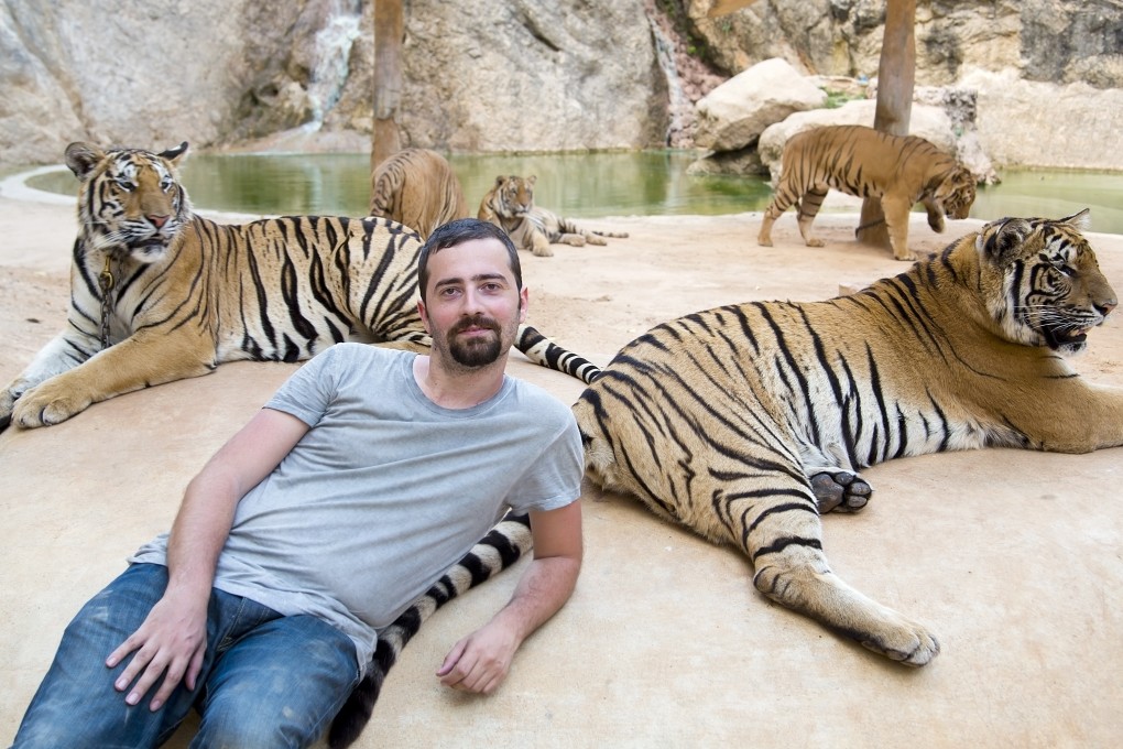 A tourist poses with tigers, in Thailand. Picture: Shutterstock