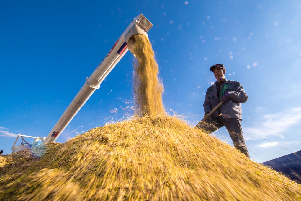 A farmer oversees a rice harvest in Yilaxi township in Jilin province in this 2018 file photo. Photo: Xinhua