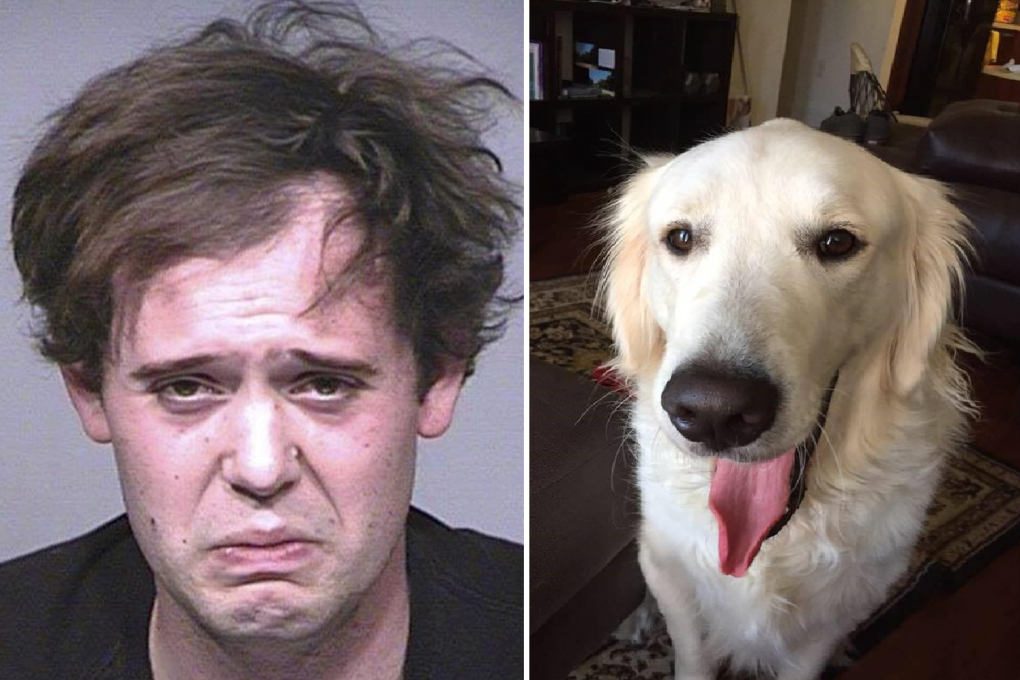 Jacob Bushkin and a photo of a golden retriever believed to be his service dog, Cub, that Bushkin once used as his Facebook profile photo. Photo: AP via Facebook