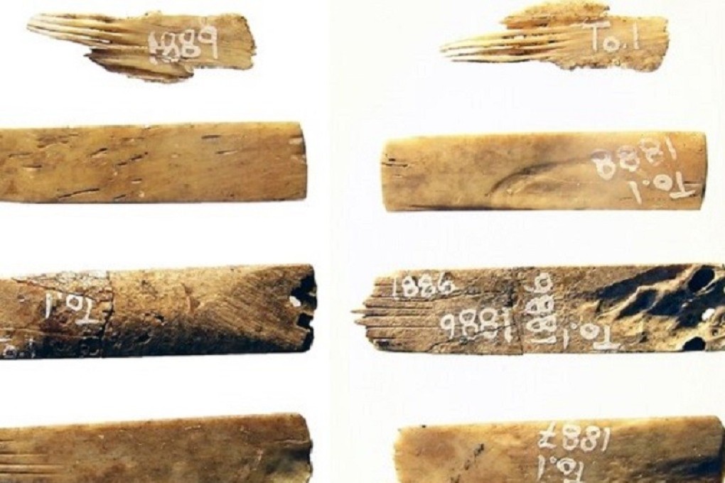 The tattooing tools are believed to be partly made from human bone. Photo: Griffith University