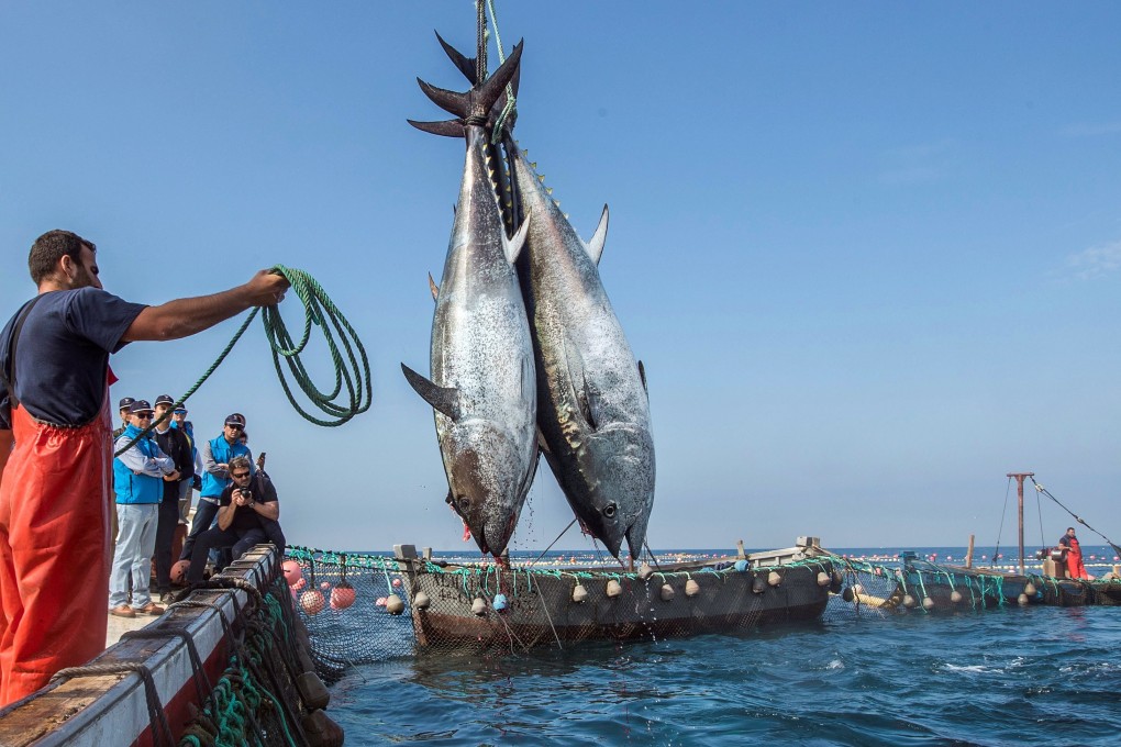 Bumble Bee Seafoods has been paying a 10 per cent tariff on tuna loins imported from China. Photo: Handout